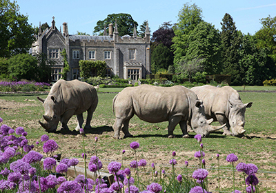 Ownership Cotswold Rhinos 400x280